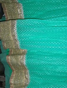 Elegant Ethnic Skirt