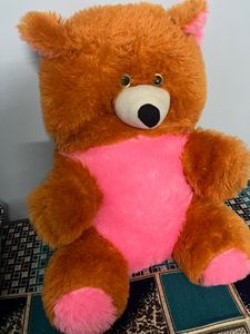 Teady Bear