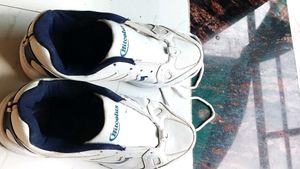 Hitcolus White & Blue Sneakers