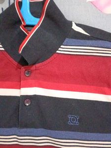 Striped Polo T-Shirt