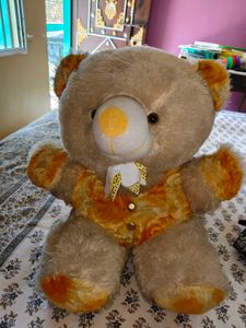 Cute Teddy Bear