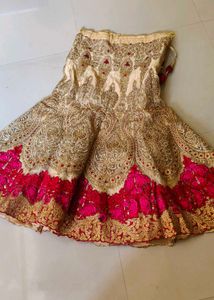 Gorgeous Lehenga Choli