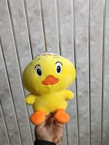 Yellow Teddy