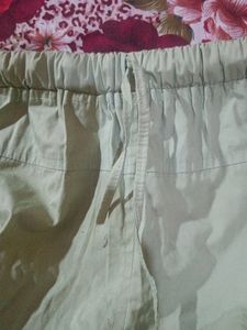 Daily Wear Shorts