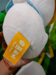 Free Delivery Korean DUCK