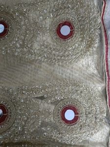 Elegant Embroidered Ethnic Skirt