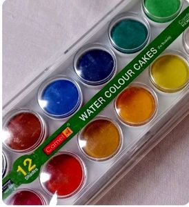 Camel Water Colours