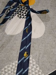 MAHI International school Tie