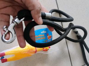 Pet Leash &amp; Toy Set