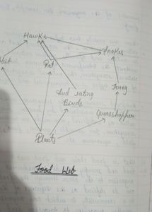 Class 10th Biology Notes📖