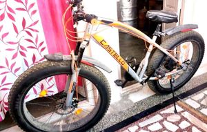 Fat Bicycle