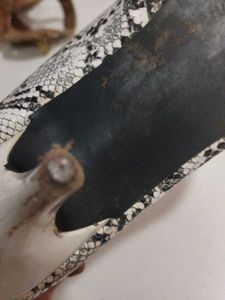 Pointed Heels Shoe