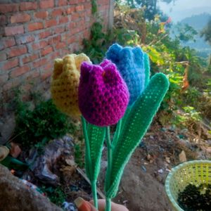 Corchet Tulips