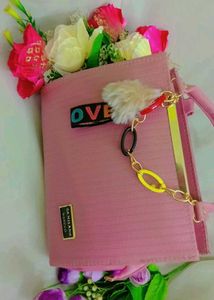 Stylish Handbag ...Never Used..