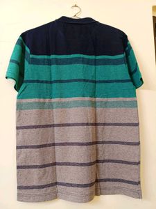 Striped Polo T-Shirt