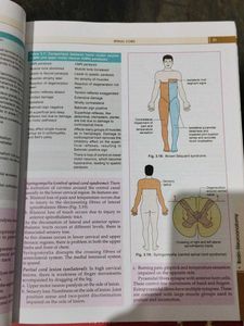 Human Anatomy Vol 4