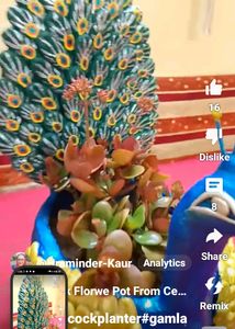 Hand Made Peacock Planter Pot