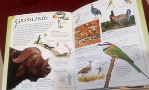 Big Book Of Knowledge