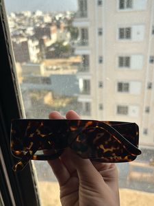 Zara Sunglasses