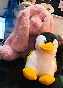 Soft Toys