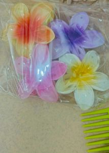 Beautiful Flower Large Size Clatures