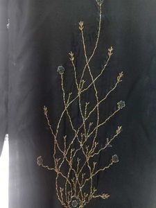 Women&#39;s Black Printed Kurti