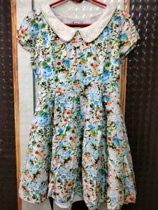 Floral Fit &amp; Flare Peter Pan Collar Dress