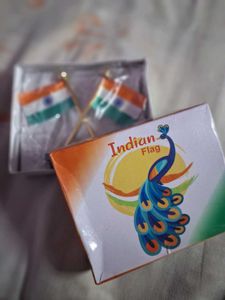 Indian Flag Statue