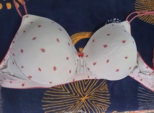 Combo of 3 premium bras