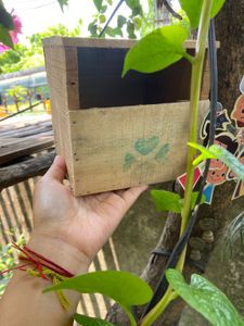 Brand New Wooden Bird House
