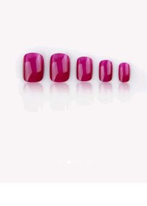 Korean Chrome Urbanic Nail Extensions / Press On