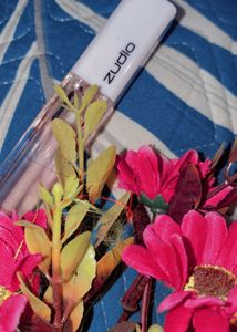 Zudio Lip Gloss