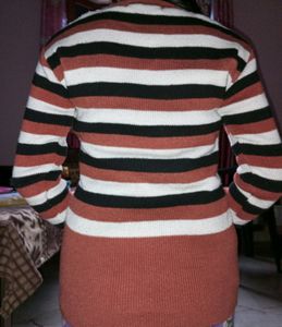 Women Wollen V Neck Sweater