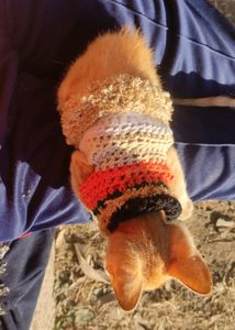 Personalized Handmade crochet sweater for your furry friends🐱🐶
