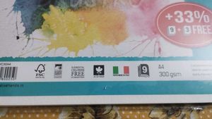 9 Painting Sheets (Fabriano)