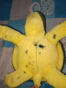 Cute Plush Turtle