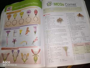 MTG NCERT at your Fingertips (11+12),2020 Edition