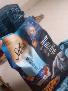 Sheba Salmon Flavor Cat Food