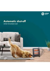 Orient Electric Room Heater