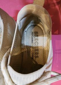 Skechers Air Cool Cream Stylish Sneakers