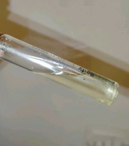 Plum Trippin' Mimosa Perfume