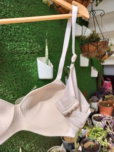 enamore non wired padded bra