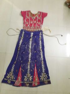 Embroidered Lehenga Choli Set