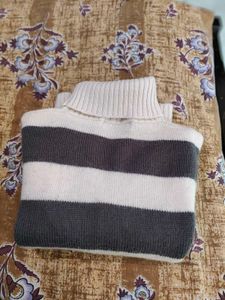 Turtleneck Sweater
