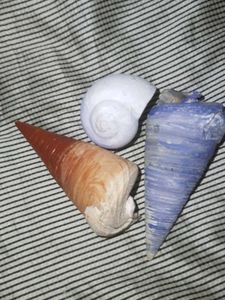 Shells