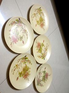 Acrylic Dinnerware
