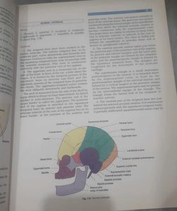 Medical Textbook-BD Chaurasia Human Anatomy