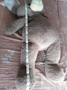 Big Broun Teddy