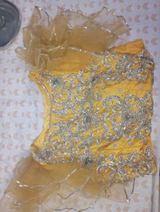 Brand New Lehnga Crop Top