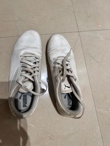 Puma White Everyday Sneakers - Used